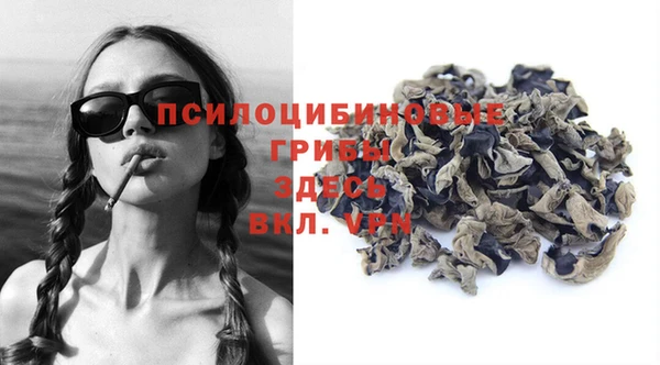 индика Магадан