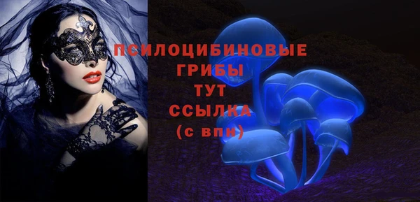 индика Магадан